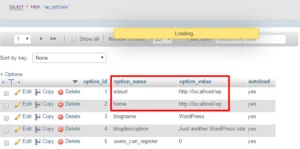 Kako da prebacim sajt sa localhost na hosting cPanel wopoption Kako da prebacim sajt sa localhost na hosting cPanel