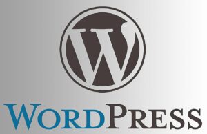 Kako da povežete domen sa wordpress.com sajtom?