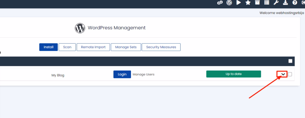 Softaculous WordPress Management Internal Server Error 500, kako nastaje i analiza?