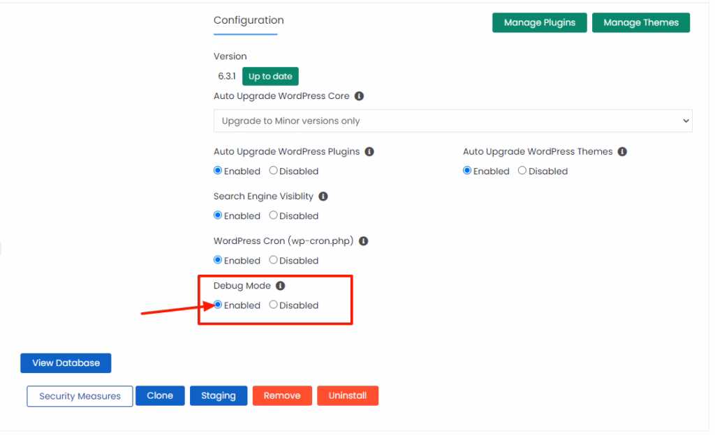 WordPress Management debug mode Internal Server Error 500, kako nastaje i analiza?